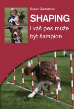 Shaping - Susan Garrett