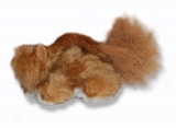 Jackpot Replaceable Squeaker Squirrel Mini