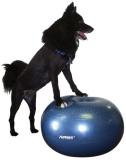 FitPAWS balanční míč