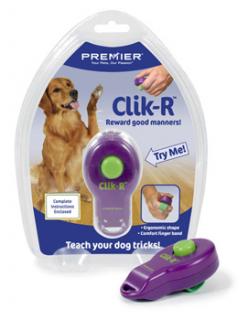 Click-R klikr