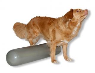 Roller