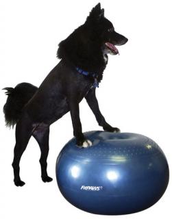 FitPAWS balanční míč