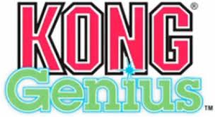 logo KONG Genius logo KONG Genius