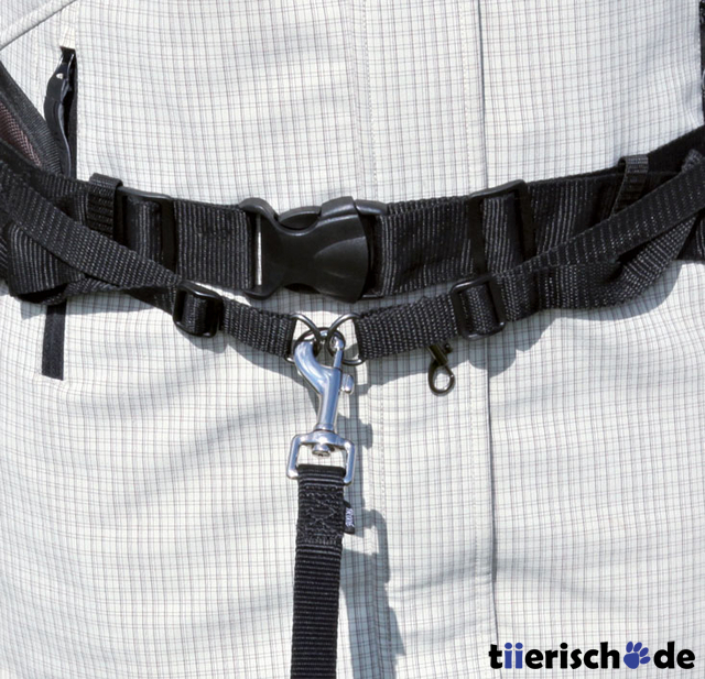 Dog Activity Multi Belt Dog Activity Multi Belt