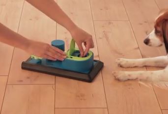 naplnění krabičky pamlskem