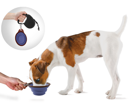 Popware cestovní miska 