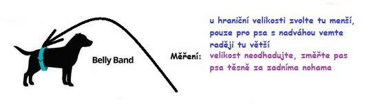 Měření Belly Band