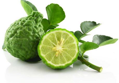 bergamot