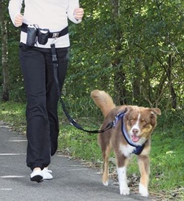 Běžecký pás Dog Activity 60-120 cm