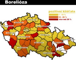 výskyt borelie v ČR