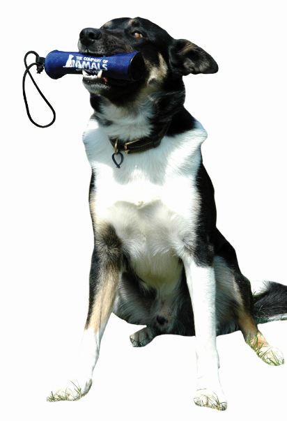 CLIX Retriever