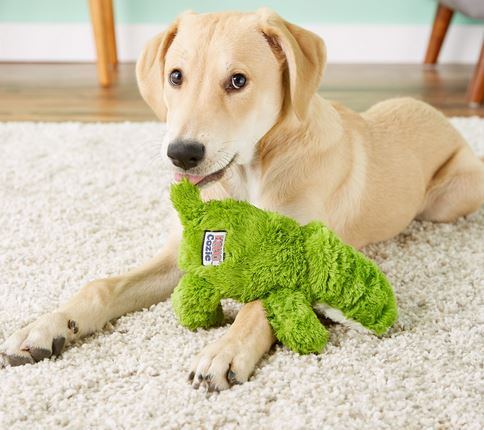 Ali alligator