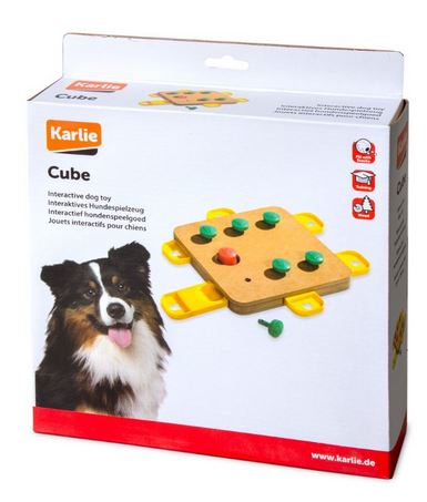 Interaktivní hra PIN