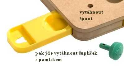 Doggy Brain Train Cube