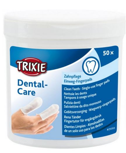 Dental Care