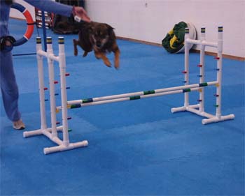 plocha na agility ze spojovatelných desek