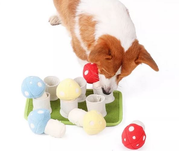 Snuffle toy
