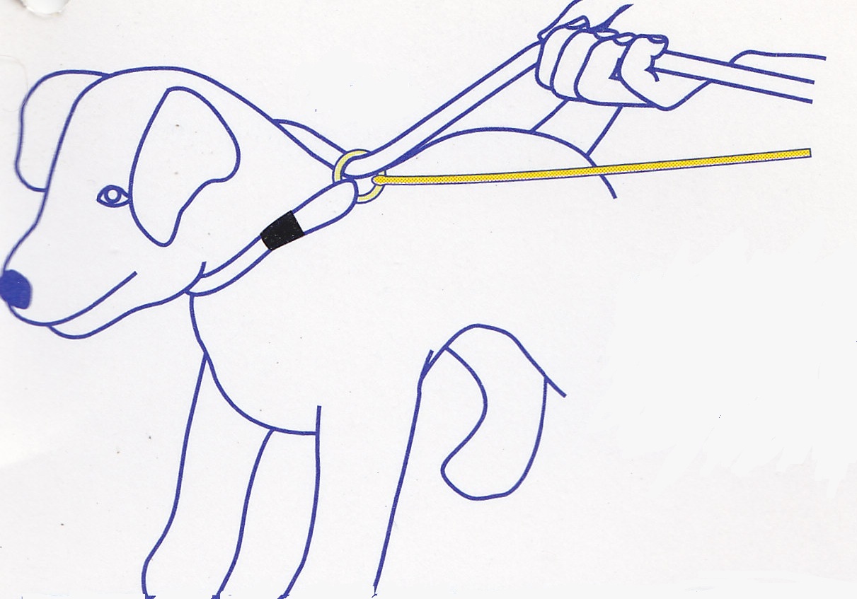 nasazení vodítka Easy Slip