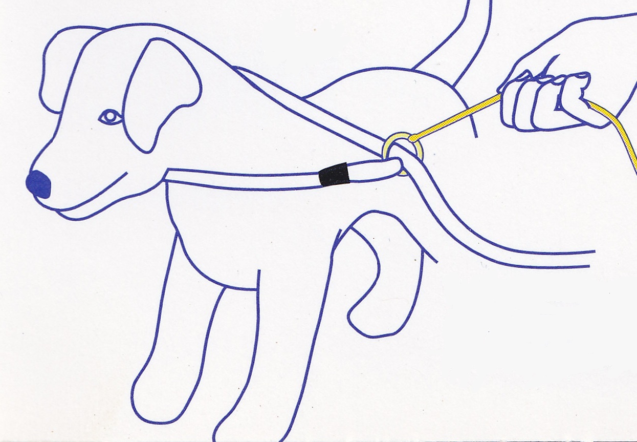 uvolnění vodítka Easy Slip