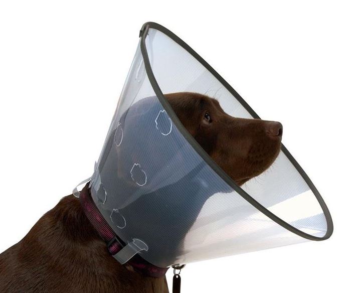 Clic Collar Premium - ochranný límec pro psy - 25 cm