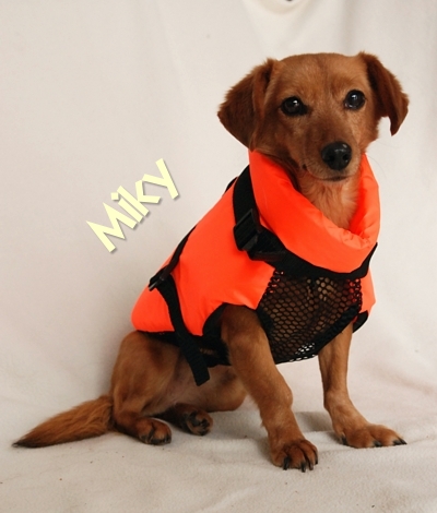 Fido Float plovací vesta pro psy XS - žlutá