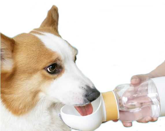 Cestovní láhev2v1 - s miskou 350ml a zásobníkem na jídlo 200 ml