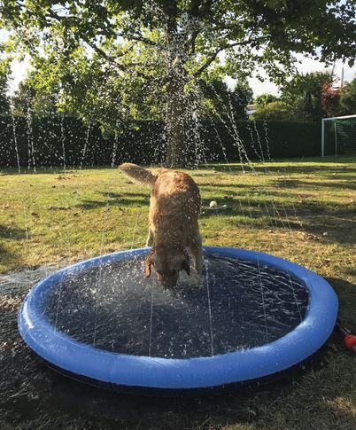 Splash Sprinkler - stříkací bazén pro psy, průměr 150 cm