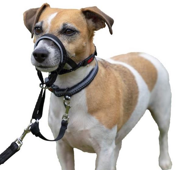 HALTI čenichová ohlávka - originál, vel. 0