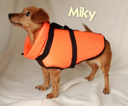 Fido Float plovací vesta pro psy XS - žlutá