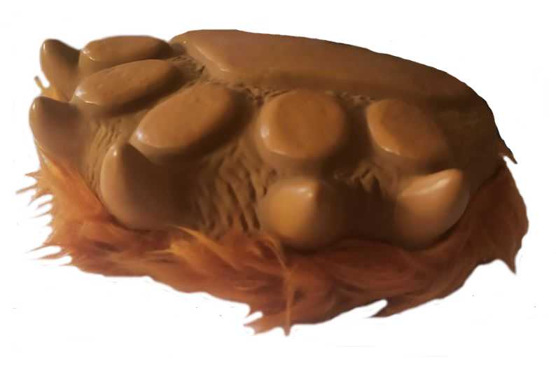 Medvědí tlapa hnědá - 14 cm