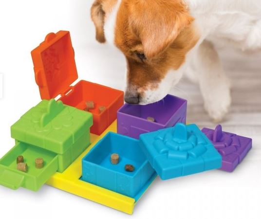 Brightkins Puzzle - Surprise Party!