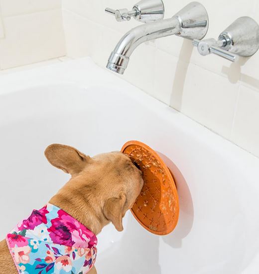 LICKIMAT Splash - oranžová, prům. 20 cm