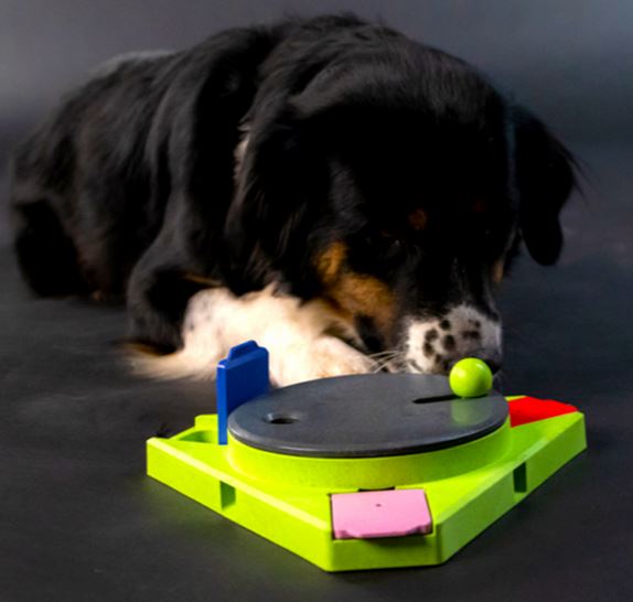 Eat Slow Live Longer - TRIANGLE