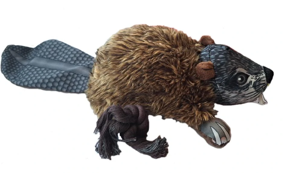 Plyšový bobr s tahacím provazem a suky, 35 cm