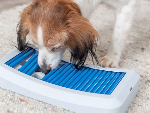 Dog Activity - Rod Board, 35 x 19,5 cm