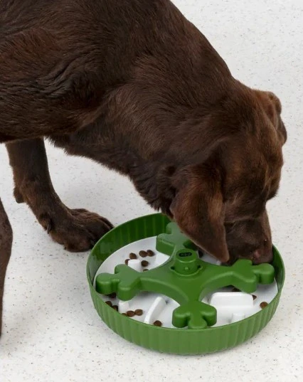 SPIN Slow Feeder - TREBOL, 25,5cm