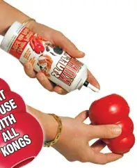 Kong Classic Medium