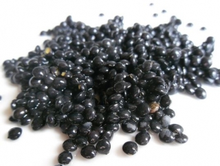 Čočka Beluga 500g