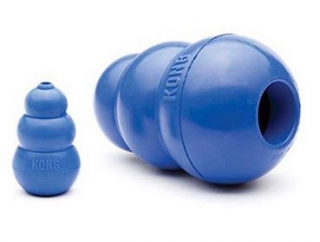 Kong Blue Medium