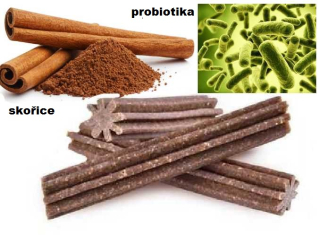 Brit Dental Stick Immuno: Probiotics & Cinnamon, 7 ks, 251 g