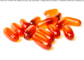 LECITIN - "výživa pro mozek", 100ks tobolek/ 1325 mg lecitinu