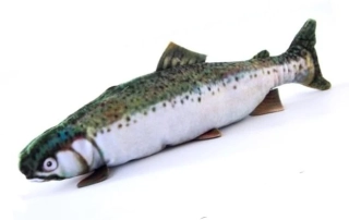 Duhový pstruh - textilní, 40 cm