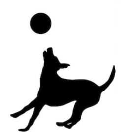 Frisbee hrající silueta