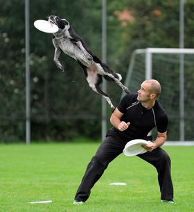 Frisbee