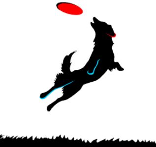 Frisbee