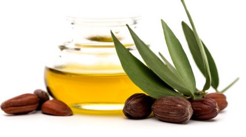 jojoba