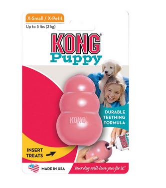 Kong puppy xs