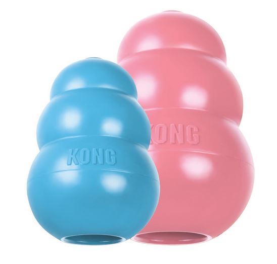 Kong Puppy - nové barvy