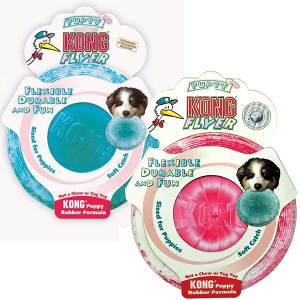kong flyer puppy
