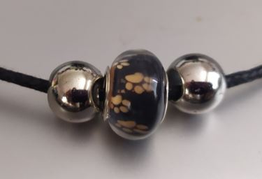 Rondelka s okrovými tlapkami